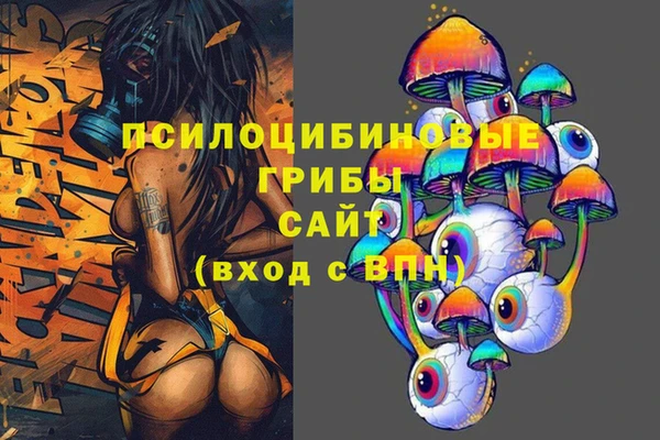 ешки Нефтегорск